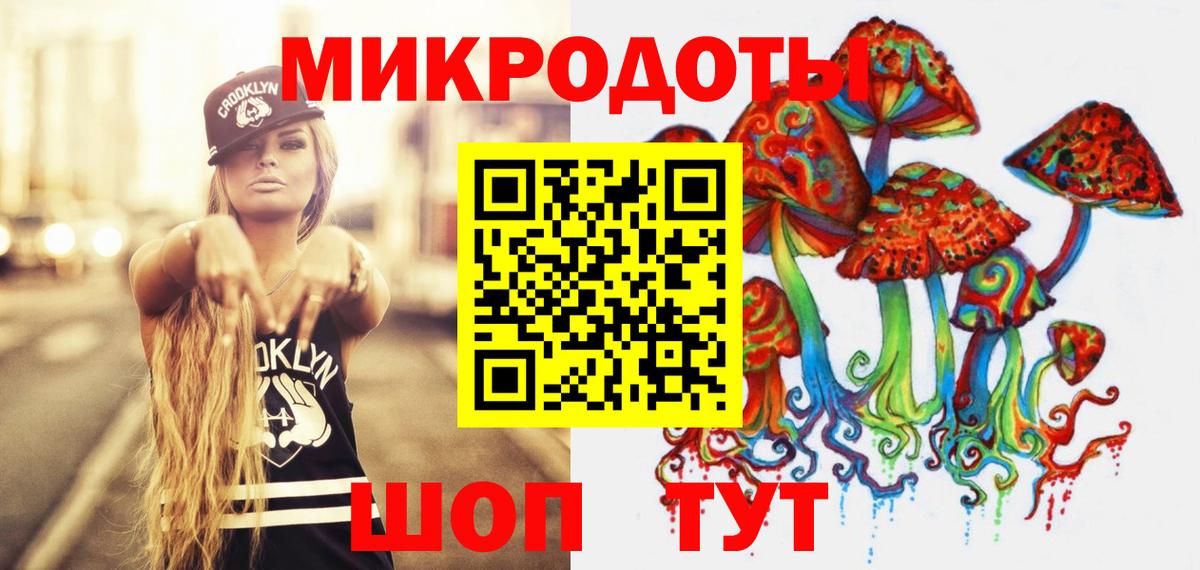 Псилоцибиновые грибы Cubensis Кстово