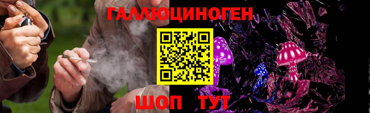 Кстово  Галлюциногенные грибы мицелий  наркошоп  Вход с VPN  Псилоцибиновые грибы Cubensis 